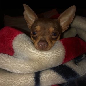 Meet your Posher, Mathew